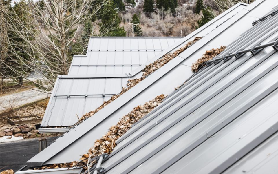 Metal Roofing Eden House 4