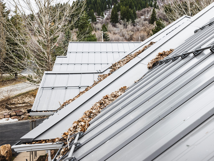 Metal Roofing Eden House 4