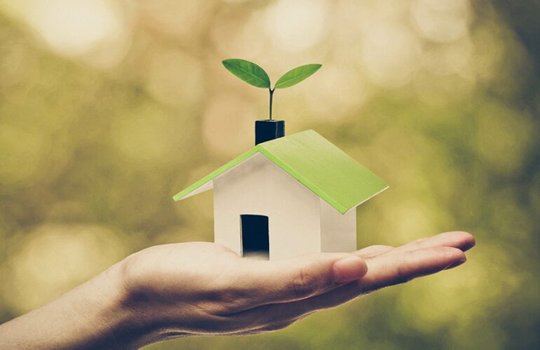Hand holding a small green house with plant growing out chimney