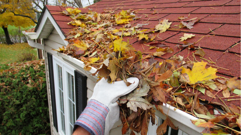 roofing maintenance tips for all seasons image